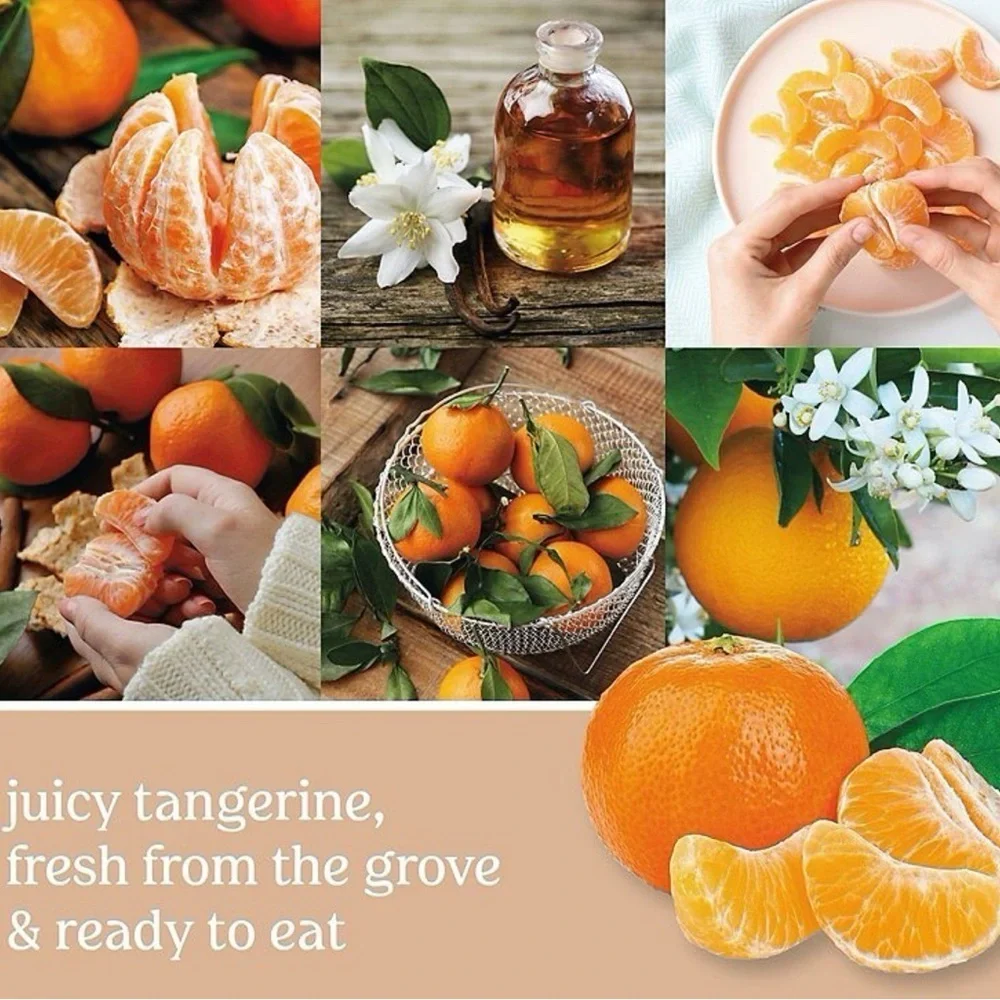 Yankee Candle Tangerine And Vanilla,citrus,sugar,rose,nectarine,mandarin,fresh